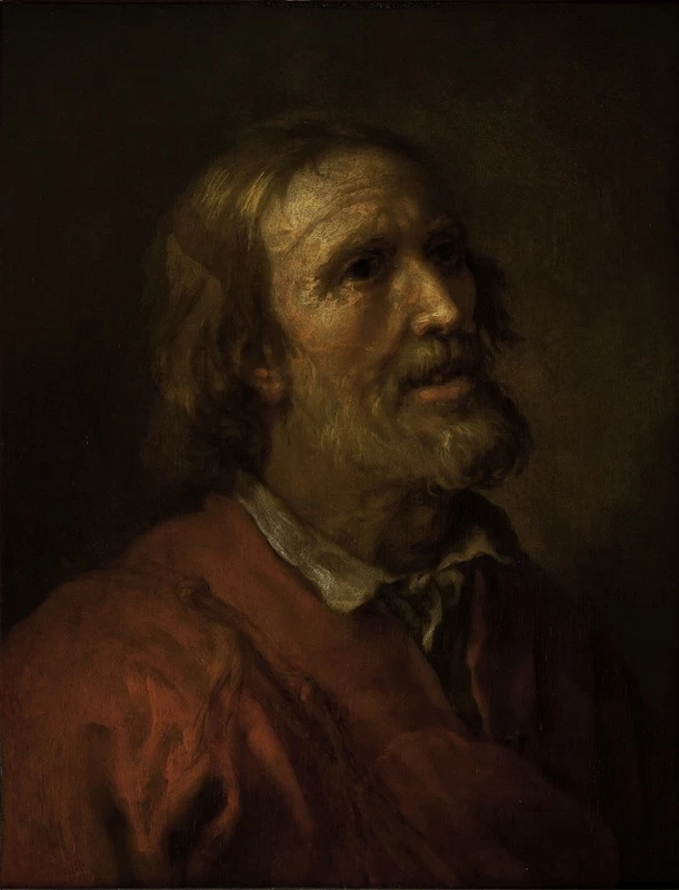 Testa di vecchio - Olanda
